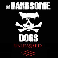 The Handsome Dogs - "Stray Cats"