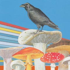 Que Es Lo Que Hice Mal MST