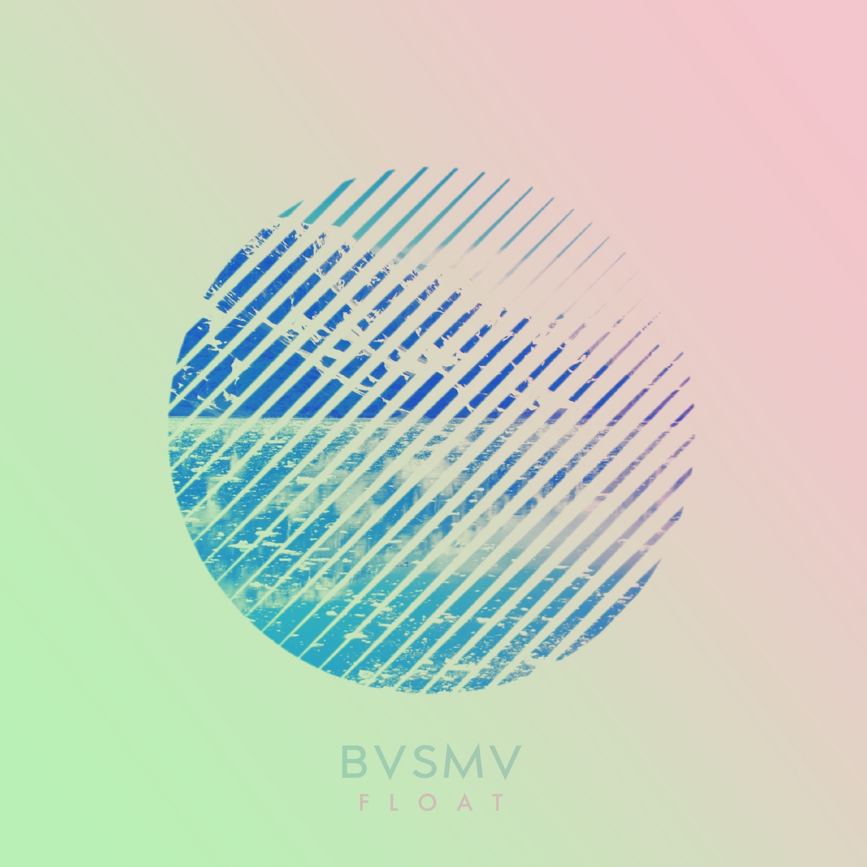 BVSMV