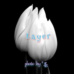 Layer