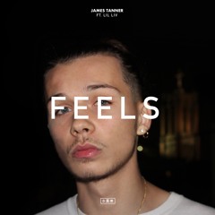 James Tanner - Feel$ Ft. Lil Liv