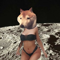 dogslut on the moon