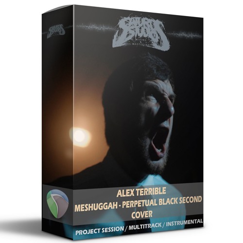 Alex Terrible - (Meshuggah - Perpetual Black Second COVER)