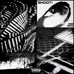 TIIGRR x SAILOR - SHOOT!