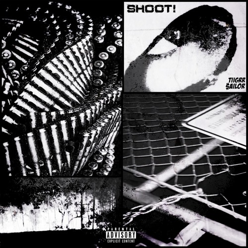 TIIGRR x SAILOR - SHOOT!