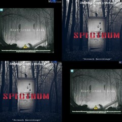 Z₳╬₳N & Screech Recordings (Mithrios Releases).
