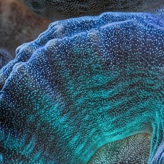 PLAYLIST JULY 2018