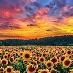 Riolie - Justice Eye 123 Special Chill Podcast For Annette Bizz (Rildi.net)