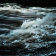 Reinfallen (disquiet0342)