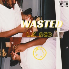 WASTED (Prod.ROFFI TRIL)