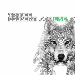 Trance Psyberia /// LIVE @ Frequency Festival at Los Coyotes, 07.07.2018.