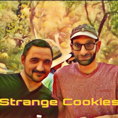 Strange Cookies Live Set at PsyTribe Frequency Festival 2018