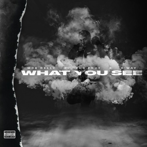 What You See - YHG Pnut feat. O'way & MOB Relly