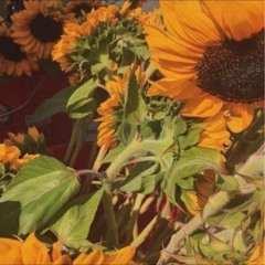 Rheehab Like A Sunflower Feat Yayyoung