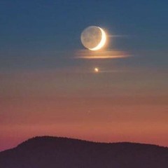 Moonstruck (Prod. ZED MILLER)