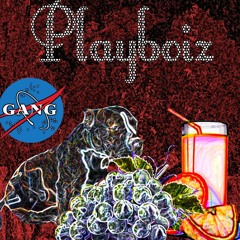 Playbois (prod. h i d d e n)-Dog with a Glock x CEEDLE$$ GRAYP x orangejuicepapi