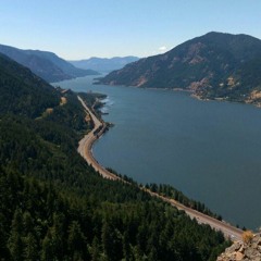 So Young (Portugal The Man Cover)