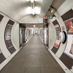 Tom Jones - Mice Parade Mash-Up