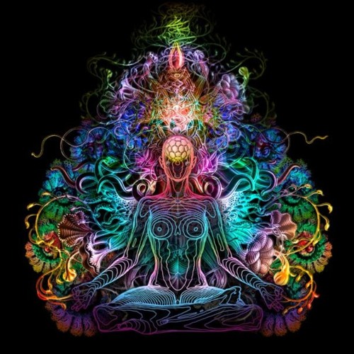 Progressive Psy Trance- Sets