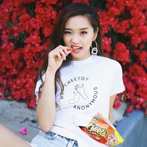 i luv hot cheetos fries .
