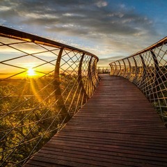 مقدمة كتاب في ظلال القرآن~ظلاليات