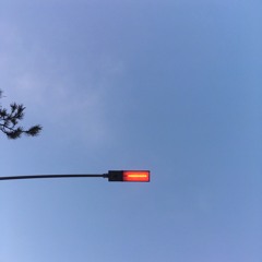 She Was So Pretty - Day 6