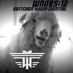 WNOBS : 0012 : KKITCHEN KKONFIDENTIAL Feat. Spark Master Tape