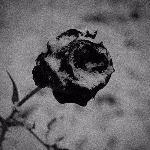 Snow - (ft. sadeyes) prod. Avion