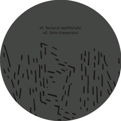 mezin02a1: Crihan - Feciorul vestitorului