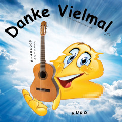 DANKE VIELMAL (acoustic version)