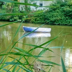 Cleaning Vibes - The HouseHippie