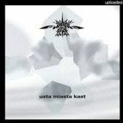 Zapis c rytmu - statyści (remix by Paulcer)