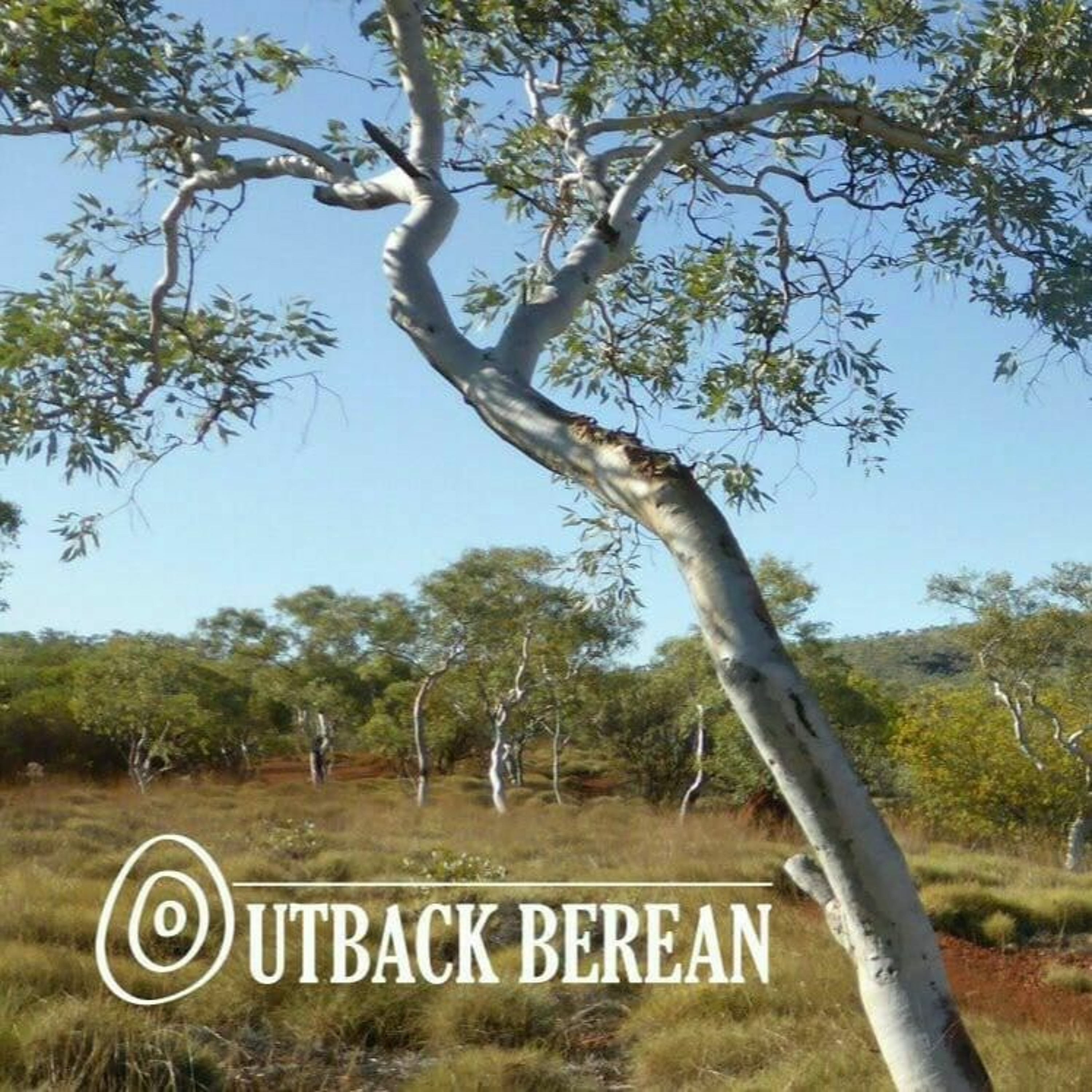 The Order of Knight George