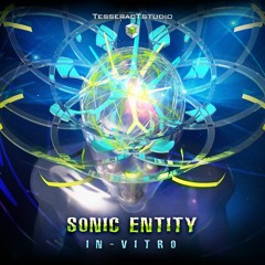 Sonic Entity - In Vitro (sample)