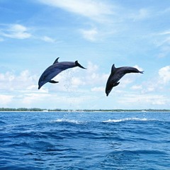 The Oumas reggae & ska experience (Session 1)