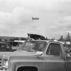 fools