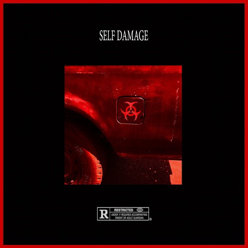 LADY DA TERROR x SUCHY - SELF DAMAGE