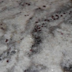 D r a g o n   K i s s