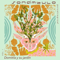 Domitila y su Jardín