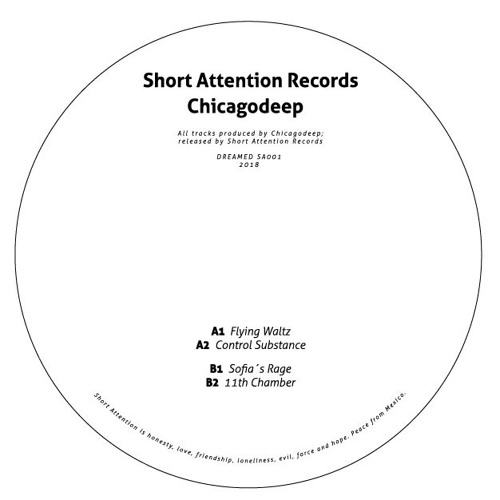 Chicagodeep - Flying Waltz EP - SA001 (Out Now)