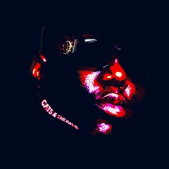gurf x birdie - cats and the bats (instrumental up for lease)