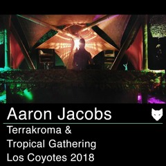 Aaron Jacobs TropiKroma Gathering 7.7.18 [TECHNO]