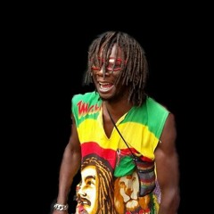 HOUSE OF PAIN FEAT DJ BLACKFOOT FEEL LIKE JUMP AROUND REGGAE MIX(1)