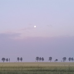 Nachmittagsschläfchen