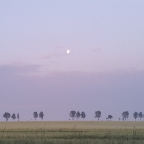 Nachmittagsschläfchen