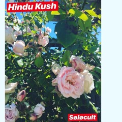Hindu Kush ~ (Prod. Taylor King) X (#SickHop Studios)