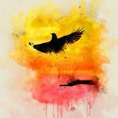 Nalini Blossom - Soul Flight (Estray Remix)