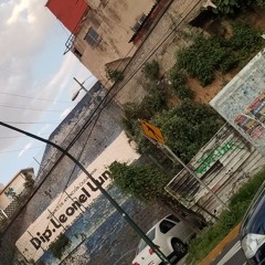 Living It Up in the City