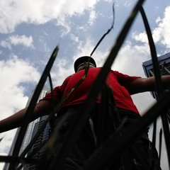 Tona no le pongas a la mona.