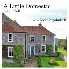 A Little Domestic by apliddell